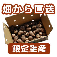 販売ページへ