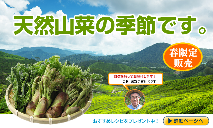山菜通販