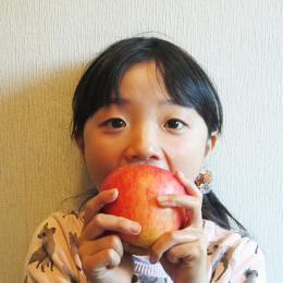 江刺産りんご　奥州ロマン