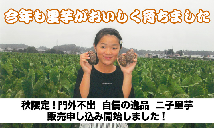 二子里芋販売